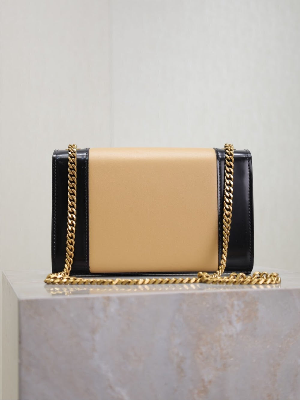 Dragons Bags YSLn Luxury Bag --120547