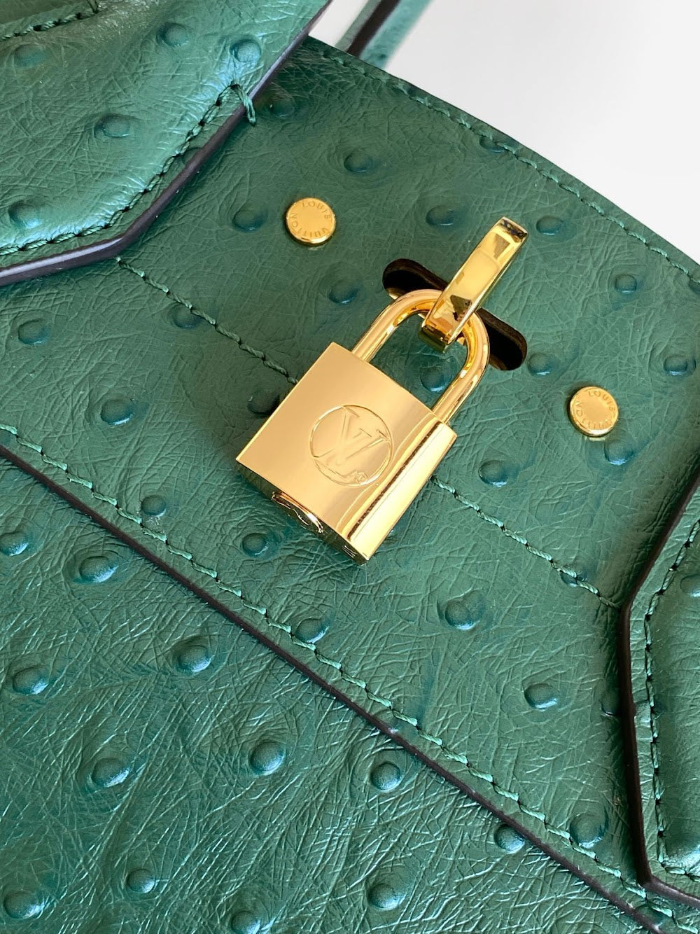 Dragons Bags ln Luxury Bag --96185