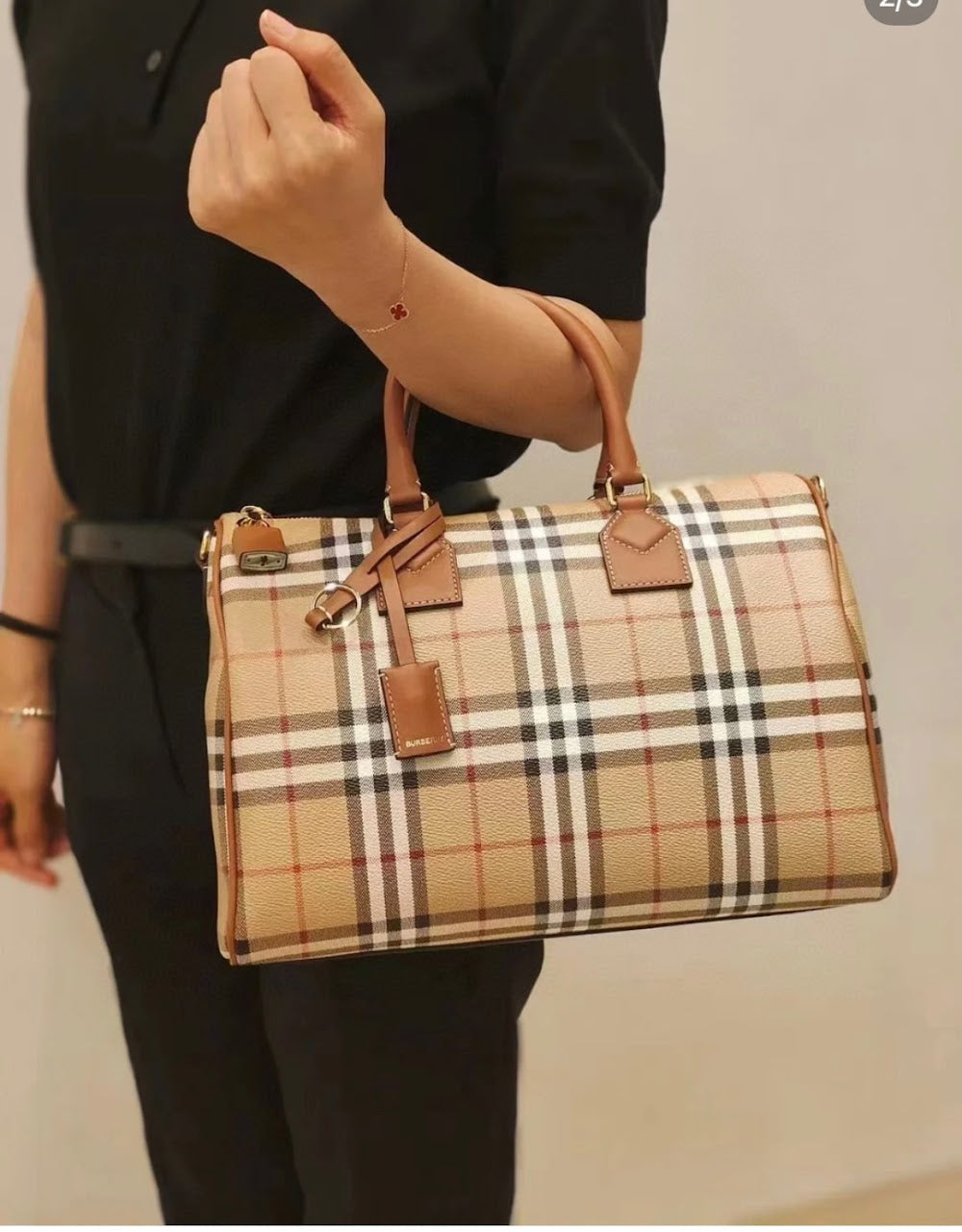 Dragons Bags Burberryn Luxury Bag --92135