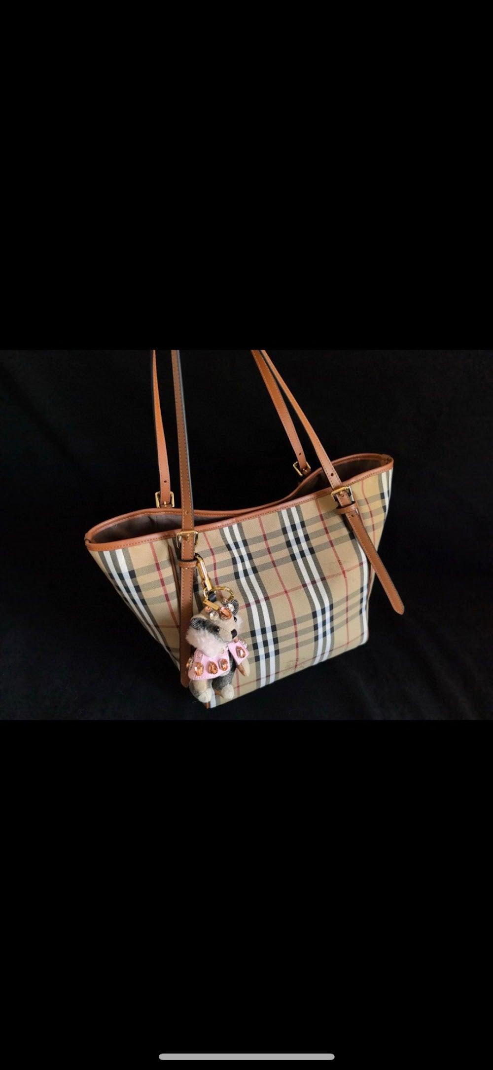 Dragons Bags Burberryn Luxury Bag --92014