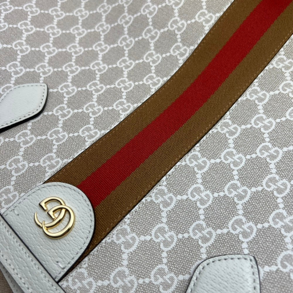 Dragons Bags Guccin Luxury Bag --95504