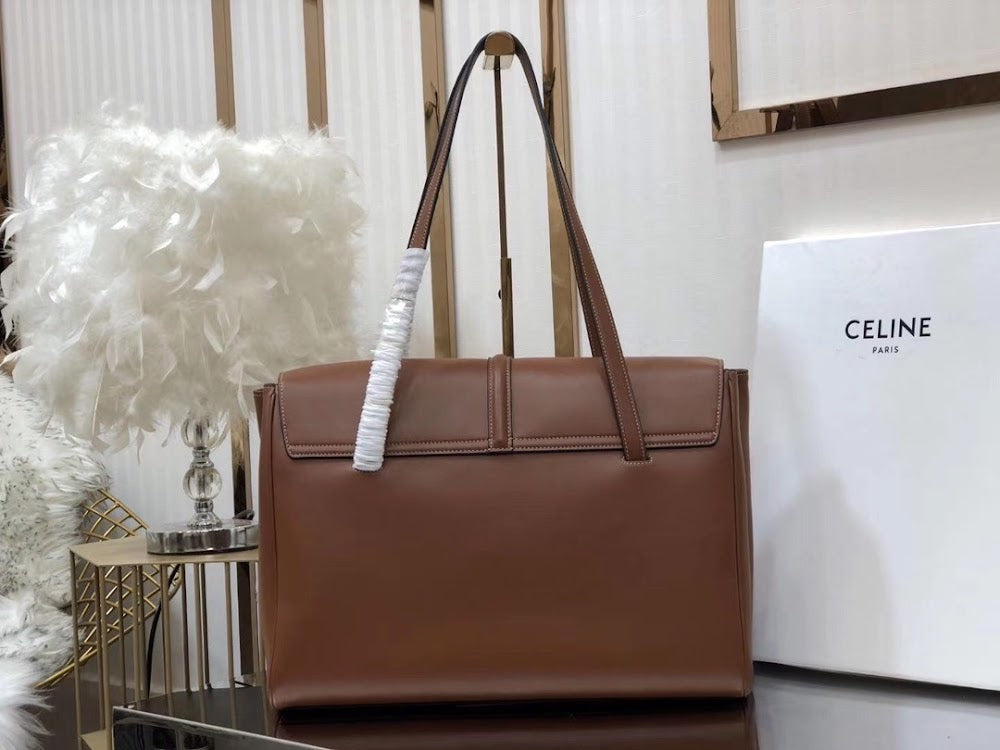 Dragons Bags Celine Luxury Bag --112413