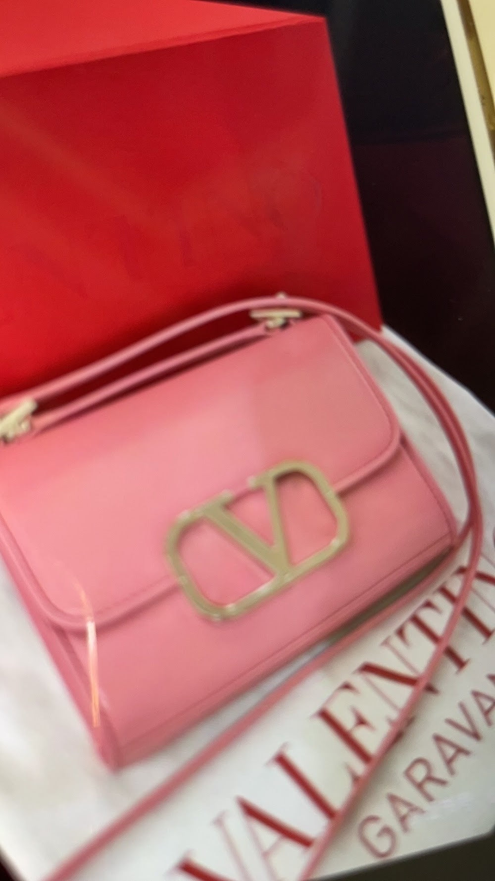 Dragons Bags Valentine Luxury Bag --121590