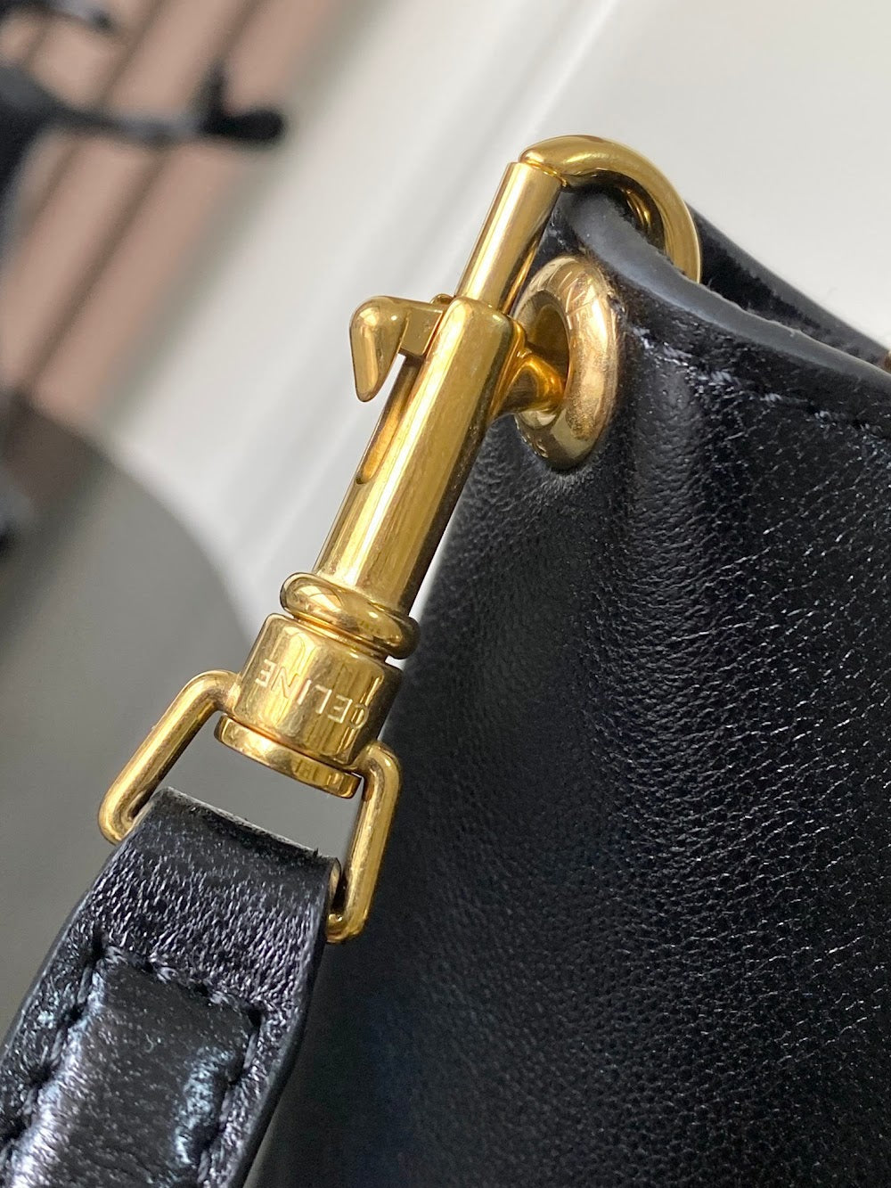 Dragons Bags Celine Luxury Bag --112563
