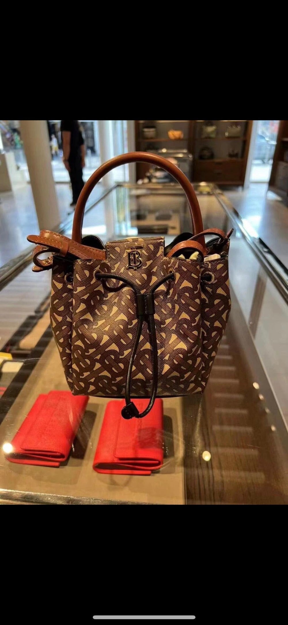 Dragons Bags Burberryn Luxury Bag --91630
