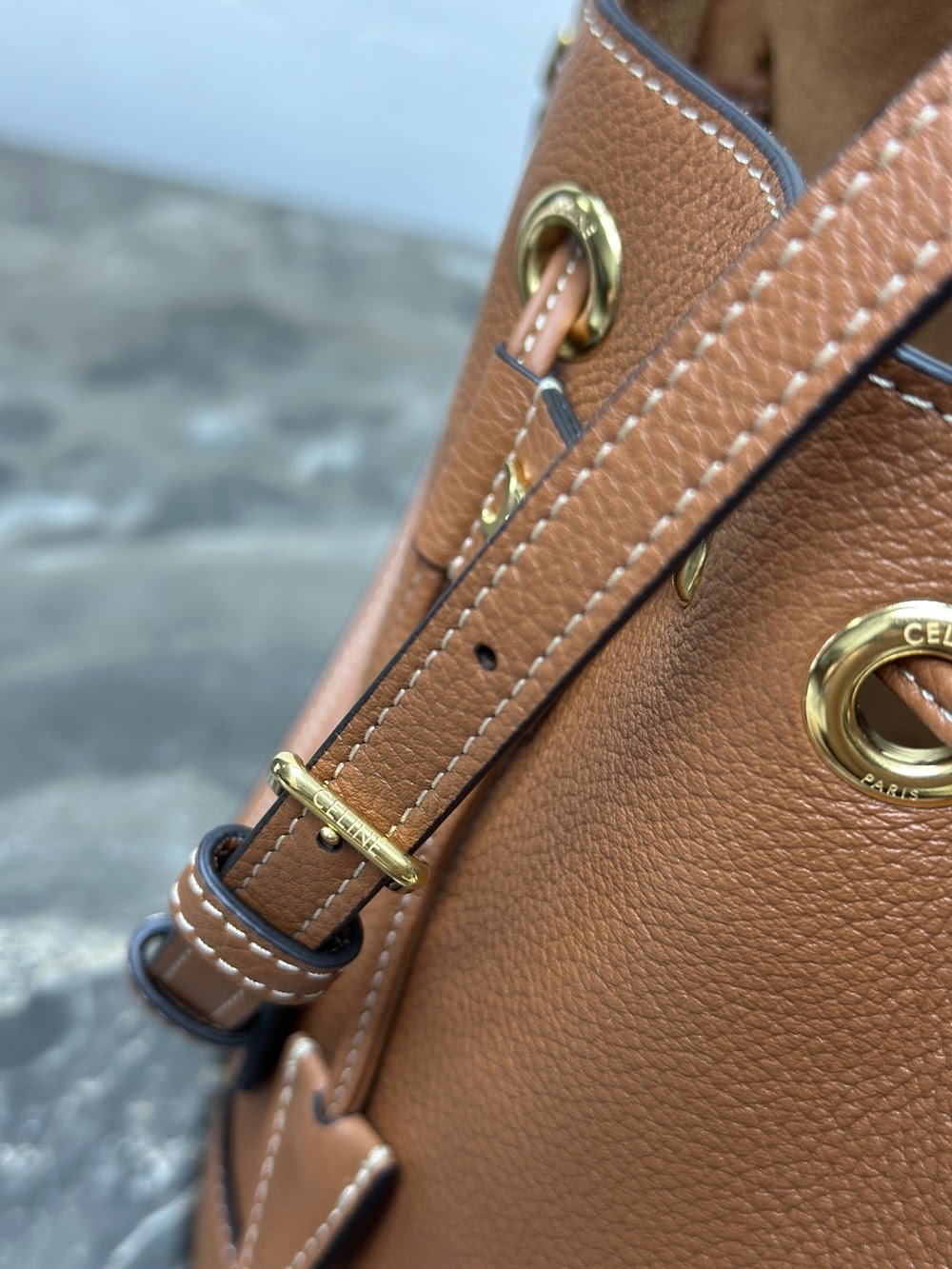 Dragons Bags Celine Luxury Bag --112557
