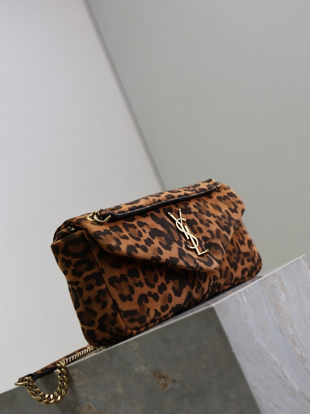 Dragons Bags YSLn Luxury Bag --119551