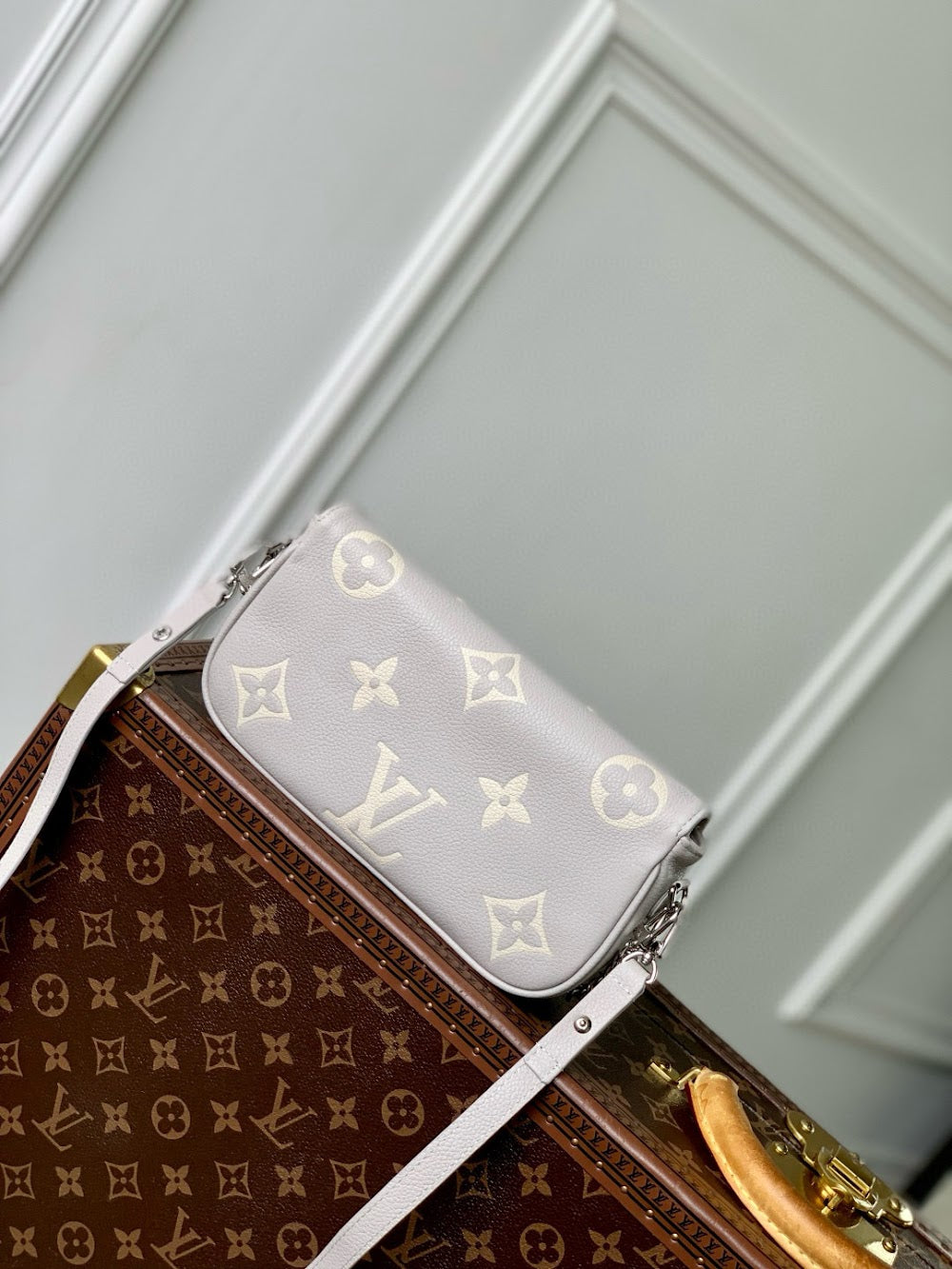 Dragons Bags LVn Luxury Bag --79111