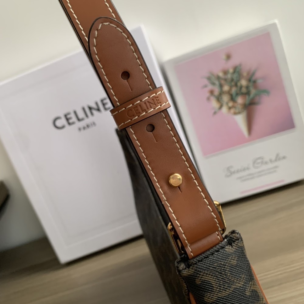 Dragons Bags Celine Luxury Bag --111966