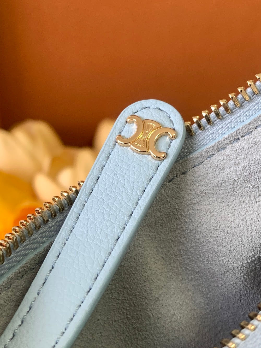 Dragons Bags Celine Luxury Bag --112075