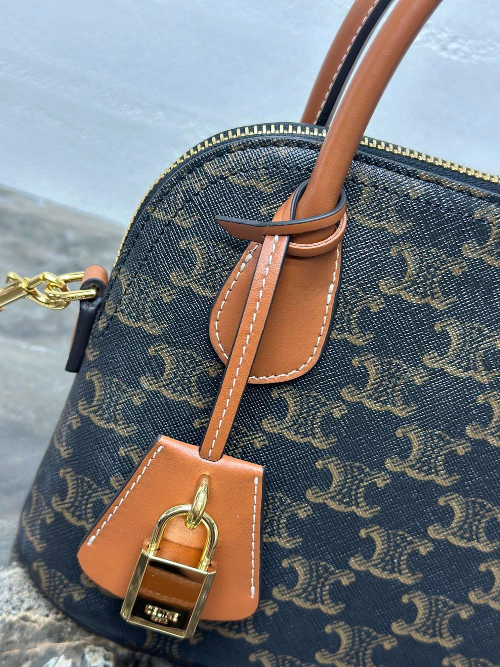 Dragons Bags Celine Luxury Bag --112349