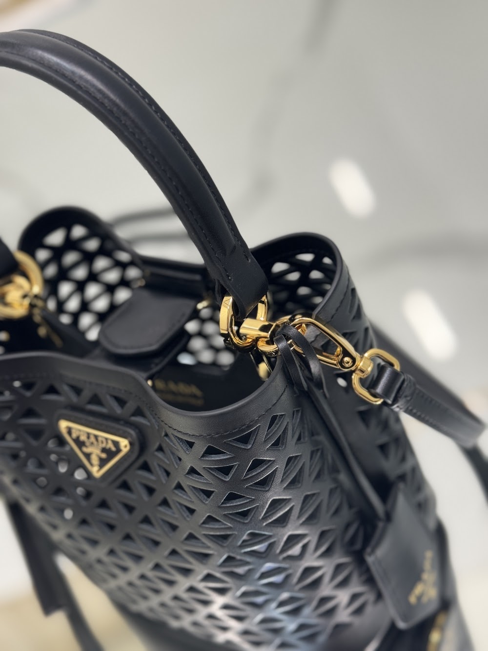 Dragons Bags Pradn Luxury Bag --101620