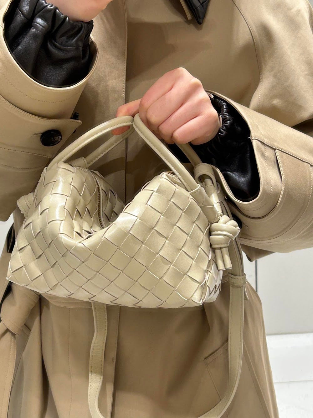 Dragons Bags Bottegan Luxury Bag --91576