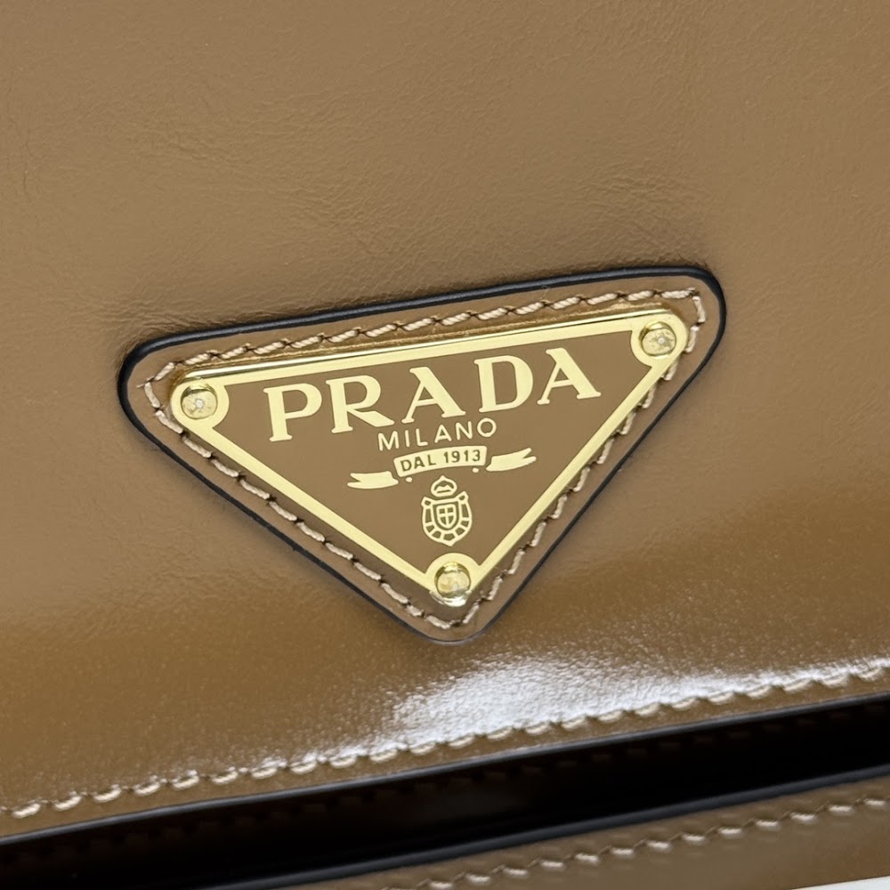Dragons Bags Pradn Luxury Bag --102812