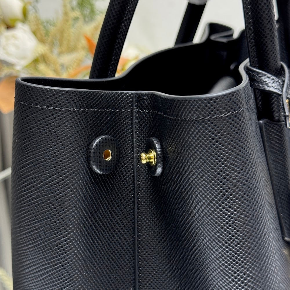 Dragons Bags Pradn Luxury Bag --102309