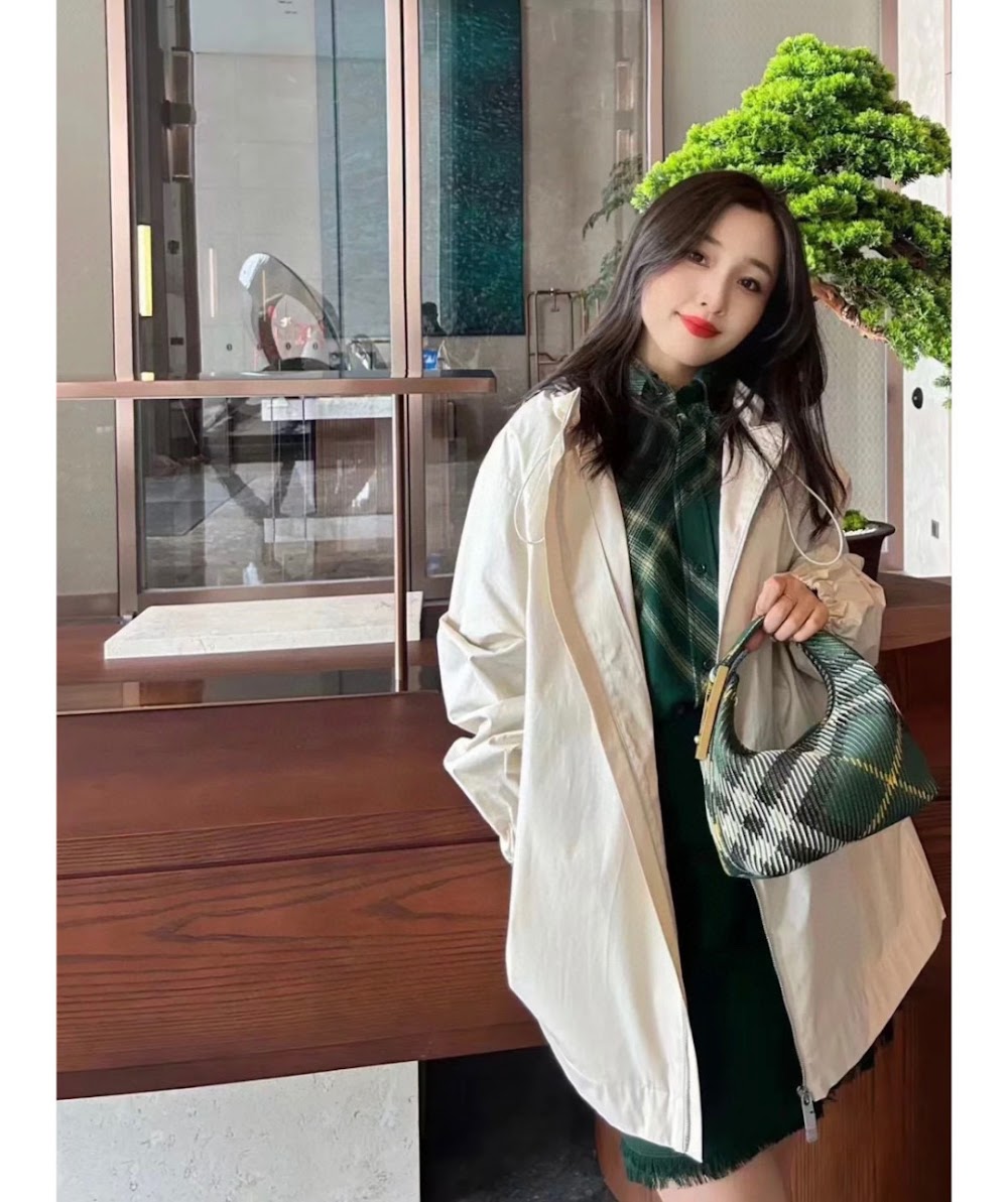 Dragons Bags Burberryn Luxury Bag --91590
