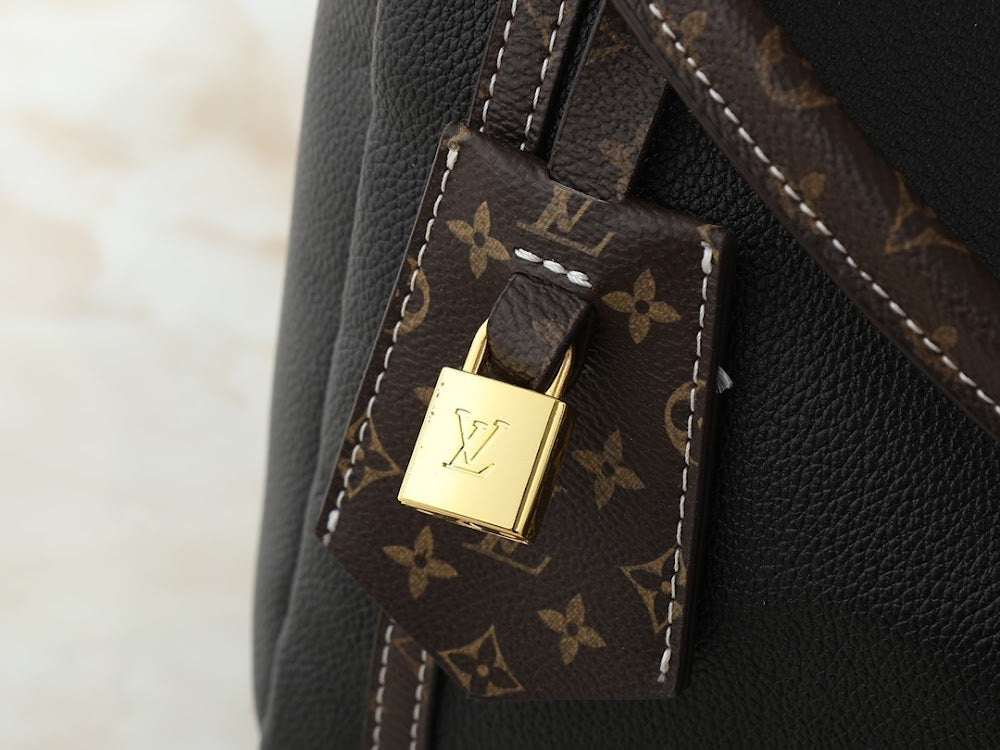 Dragons Bags ln Luxury Bag --77476