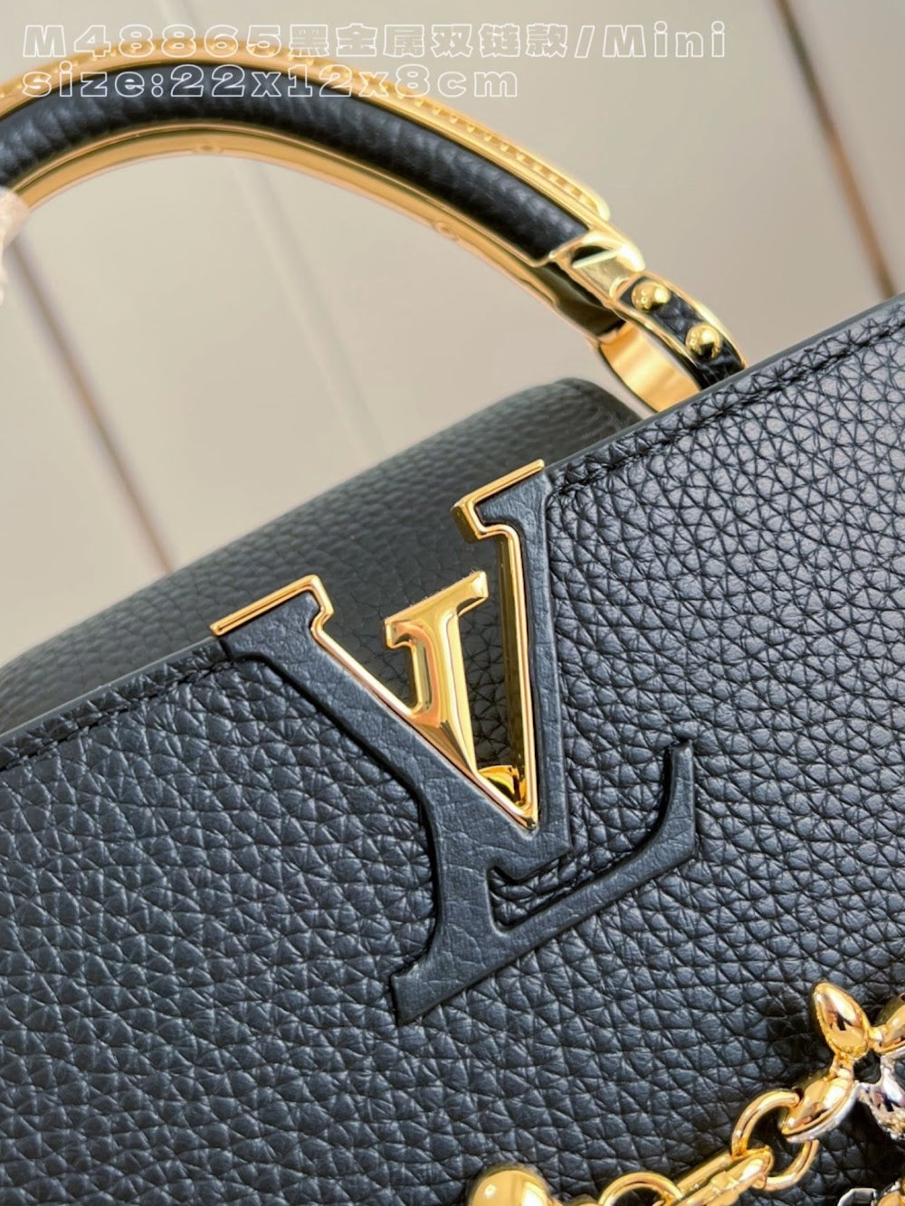 Dragons Bags ln Luxury Bag --95857