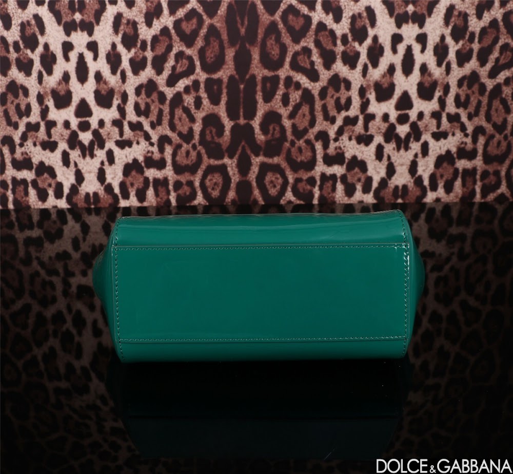 Dragons Bags DGn Luxury Bag --93633