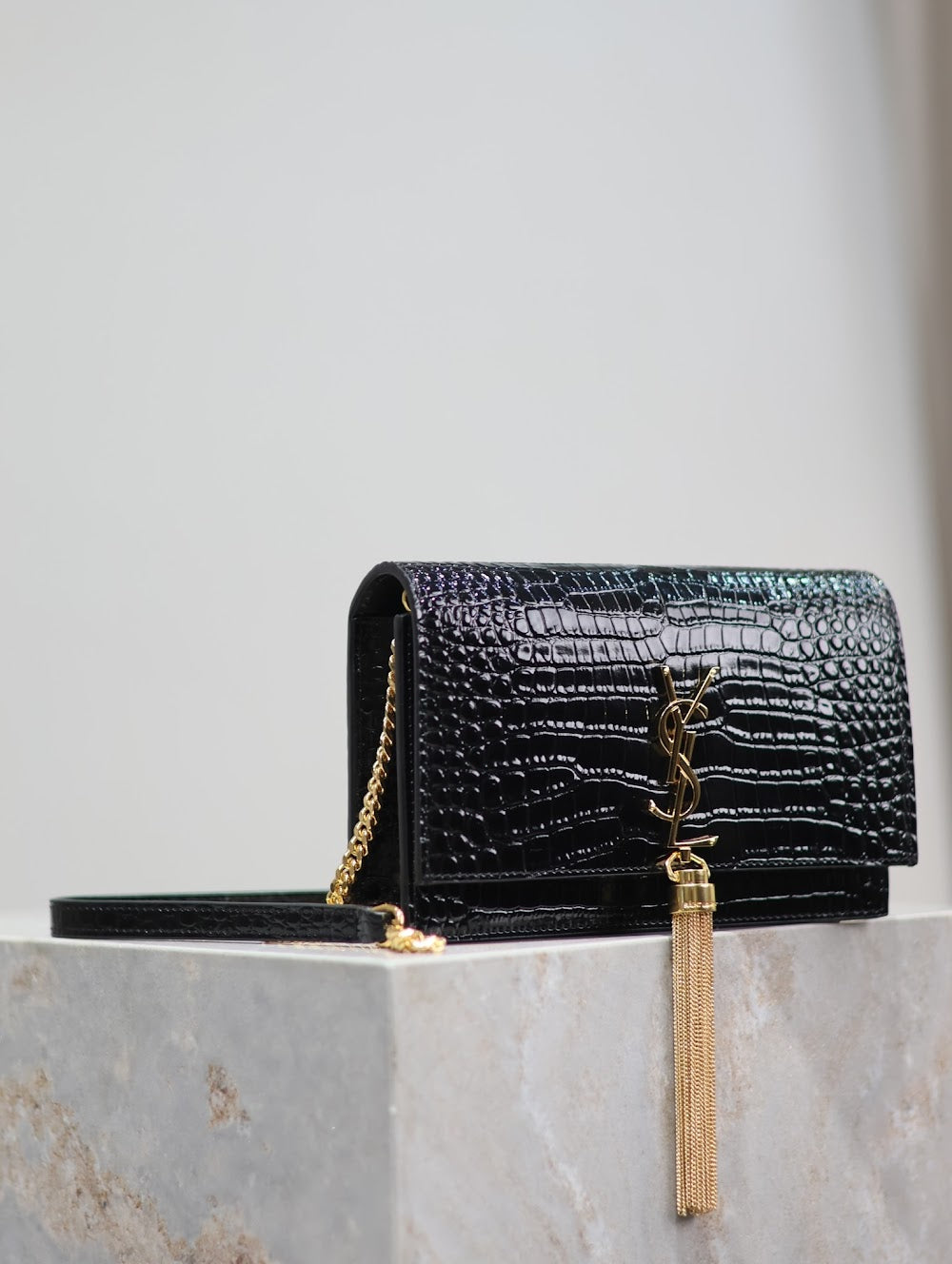 Dragons Bags YSLn Luxury Bag --120527