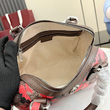 new-designer-premium-bags-nm4061