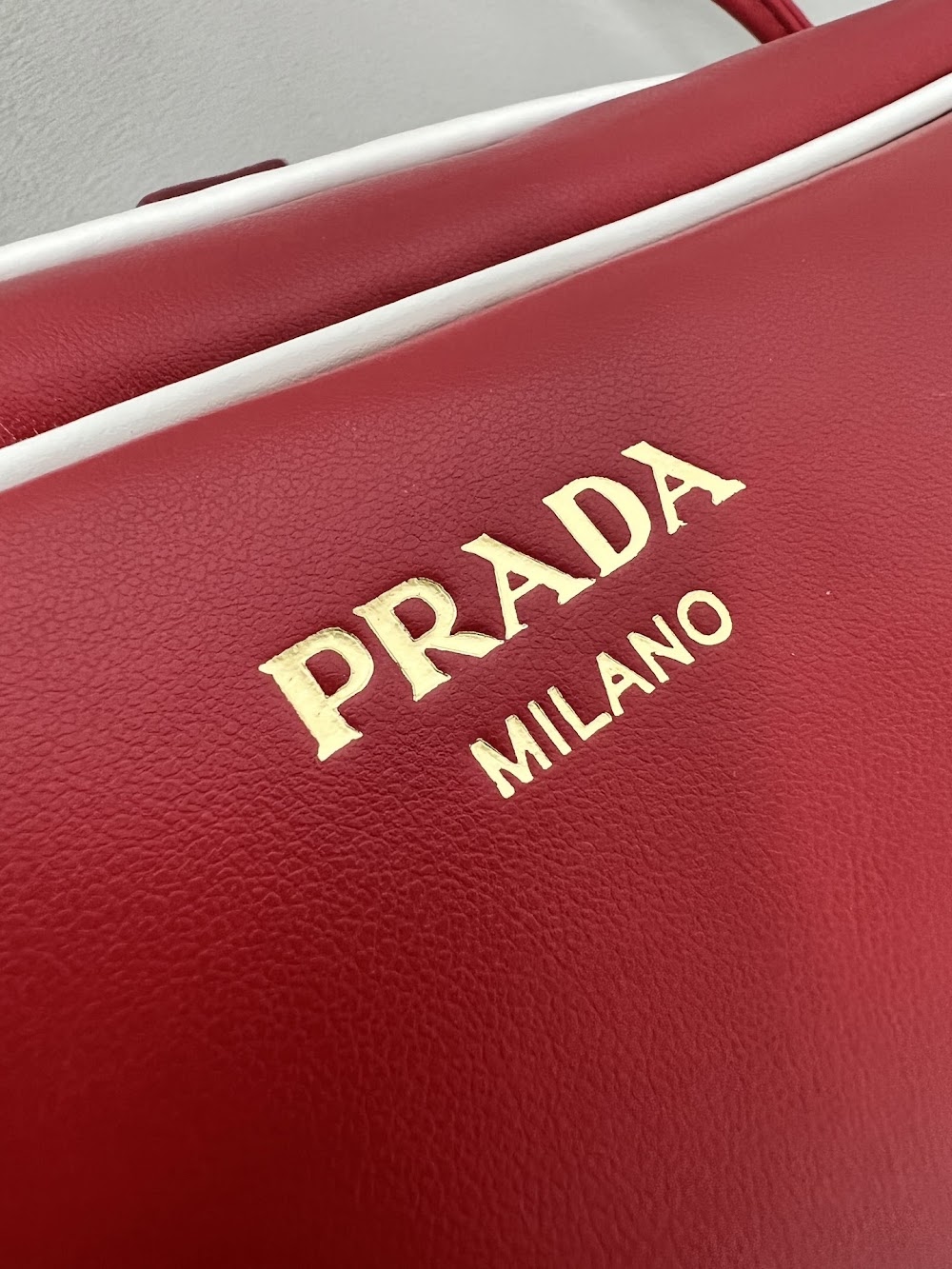 Dragons Bags Pradn Luxury Bag --102395
