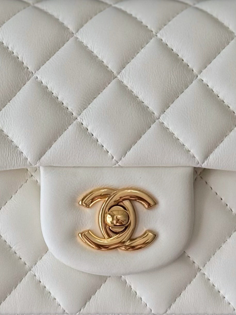 Dragons Bags CHn Luxury Bag --112987