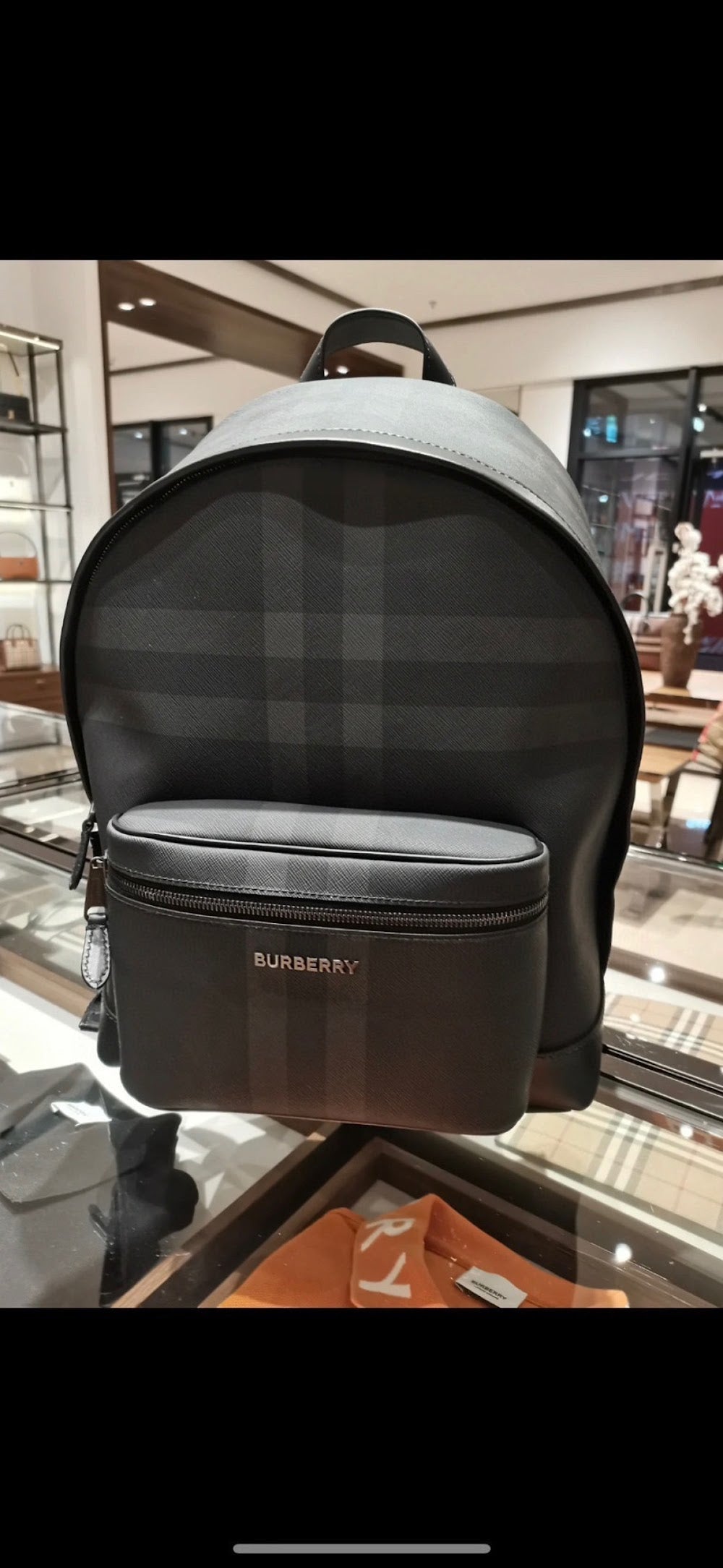 Dragons Bags Burberryn Luxury Bag --93040