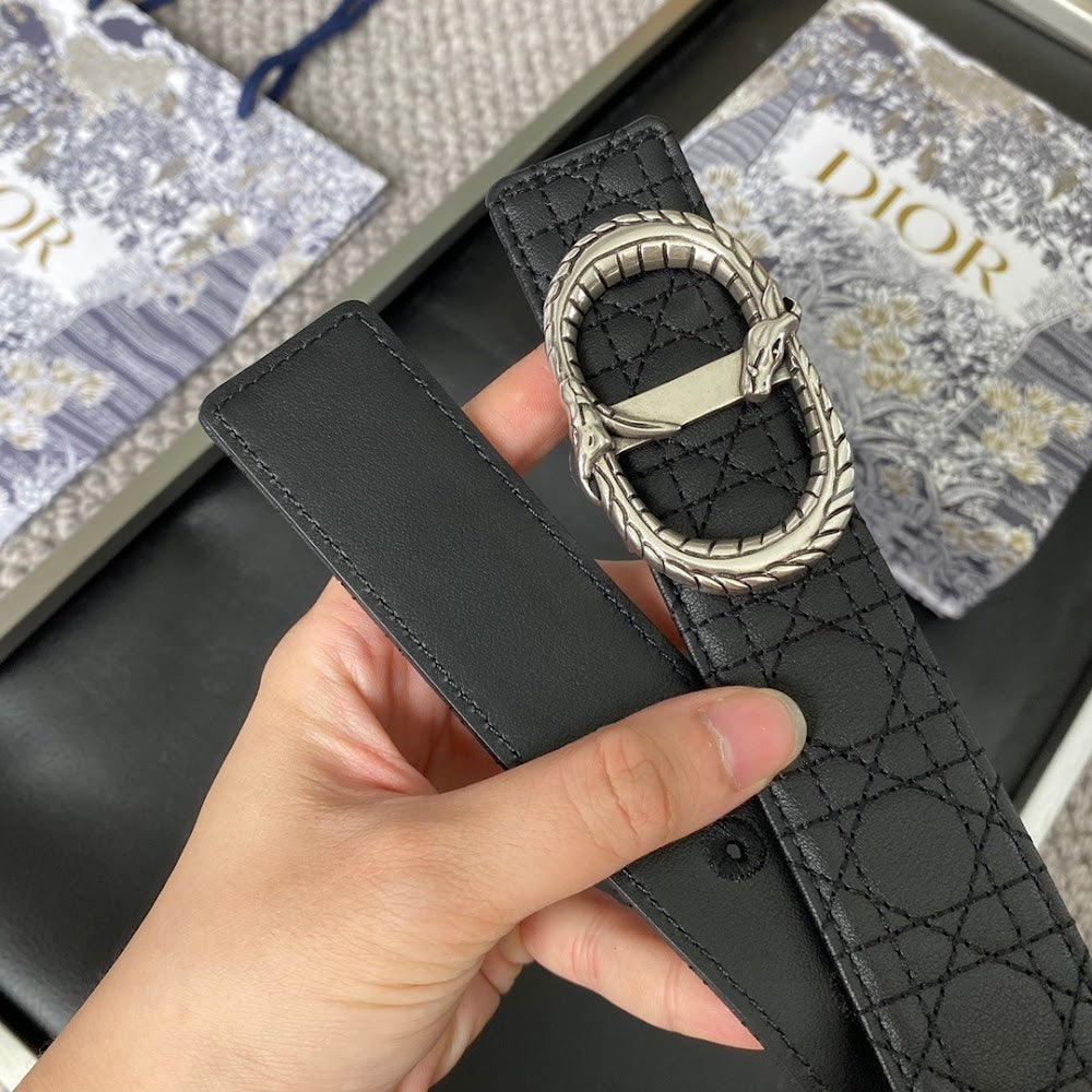 Dragons Bags Diorn Luxury Belt --104899