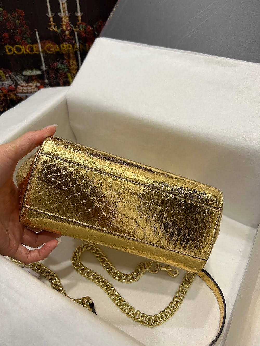 Dragons Bags DGn Luxury Bag --93286