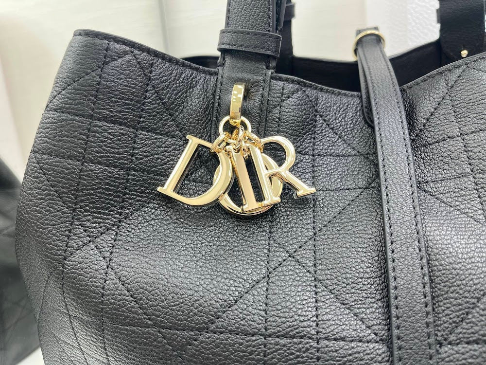 Dragons BagsDiorn Luxury Bag --115387
