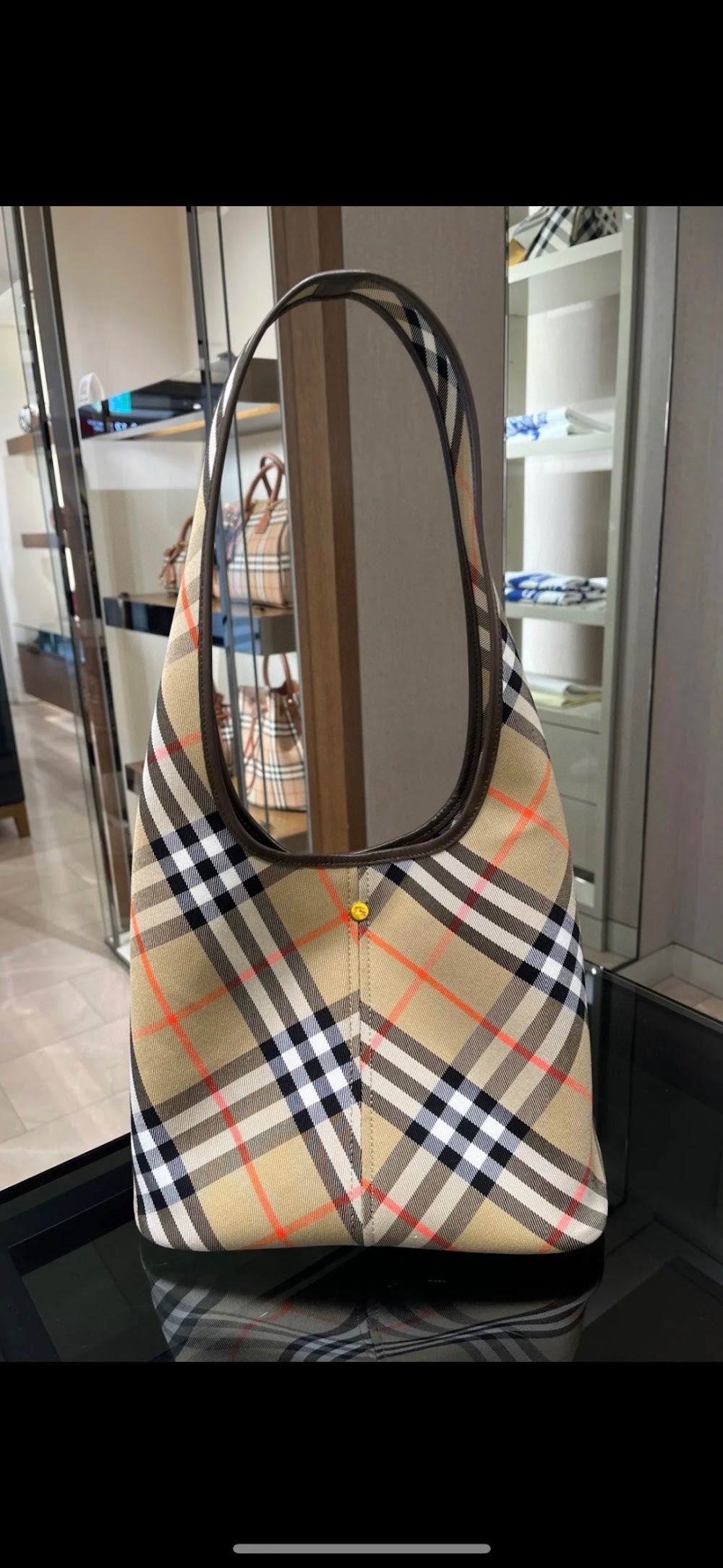 Dragons Bags Burberryn Luxury Bag --91757