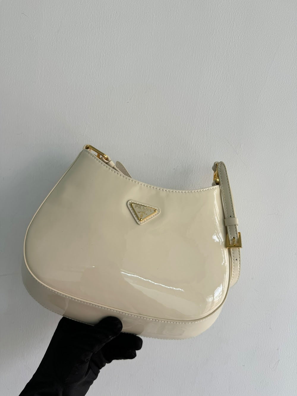 Dragons Bags Pradn Luxury Bag --101578