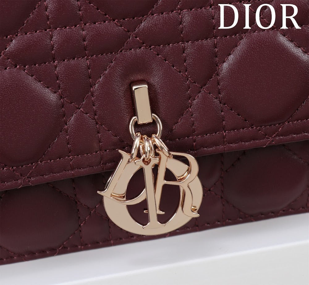 Dragons BagsDiorn Luxury Bag --116310
