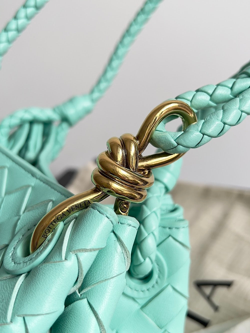 Dragons Bags Bottegan Luxury Bag --90954