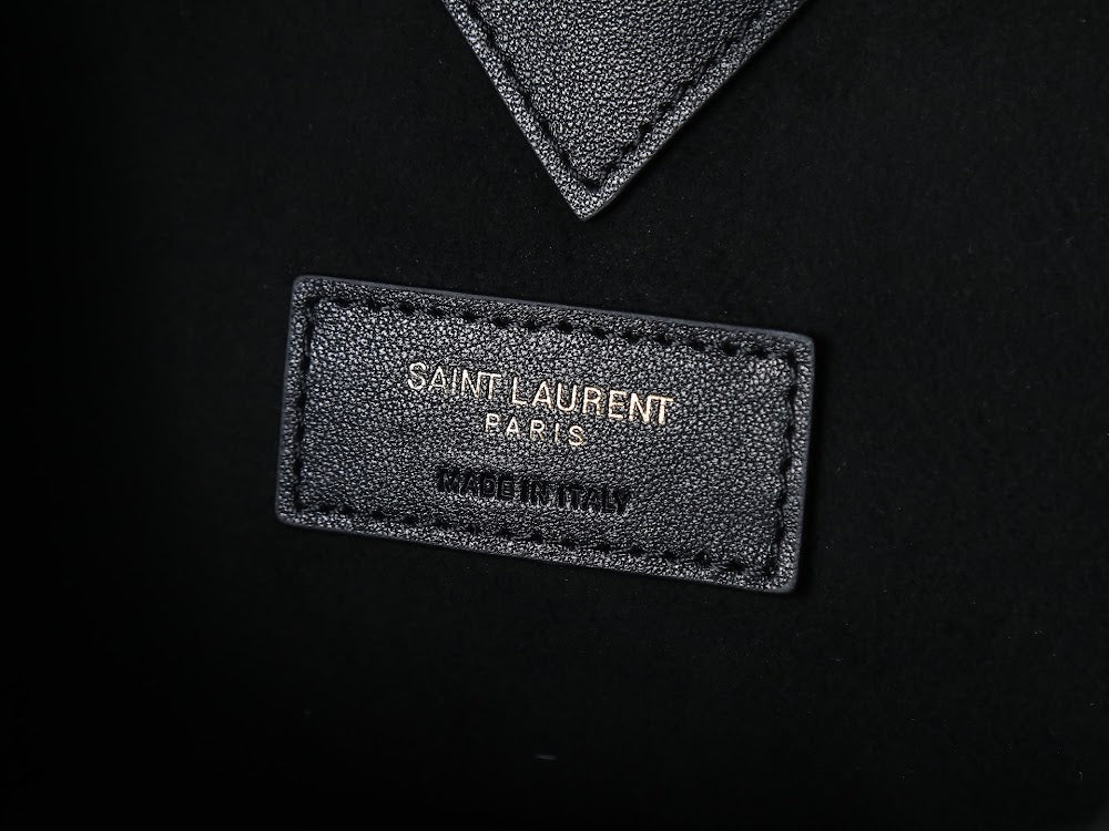 Dragons Bags YSLn Luxury Bag --119828