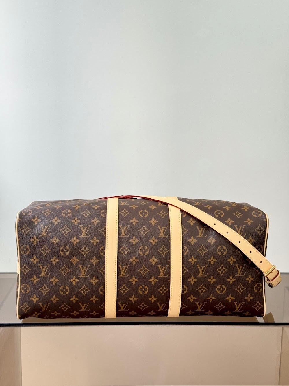 Dragons Bags ln Luxury Bag --96784