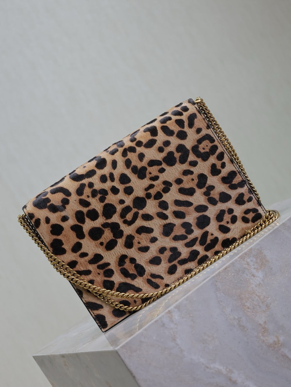 Dragons Bags YSLn Luxury Bag --120585