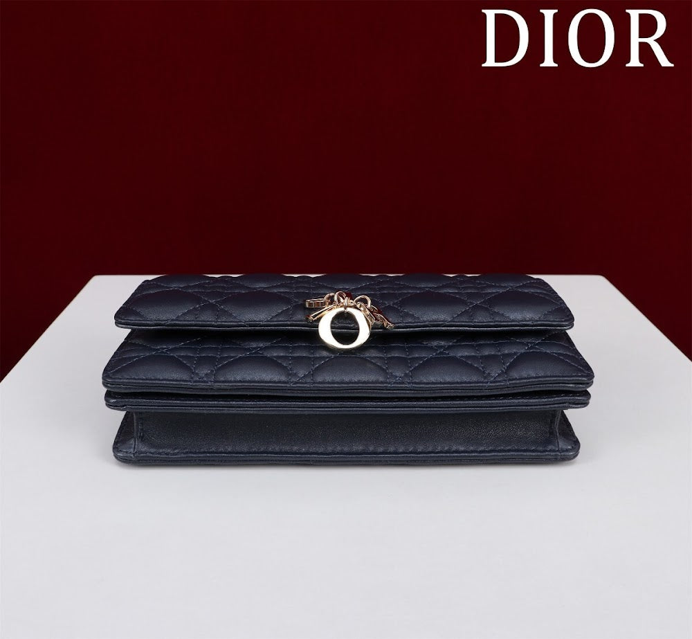 Dragons BagsDiorn Luxury Bag --116224