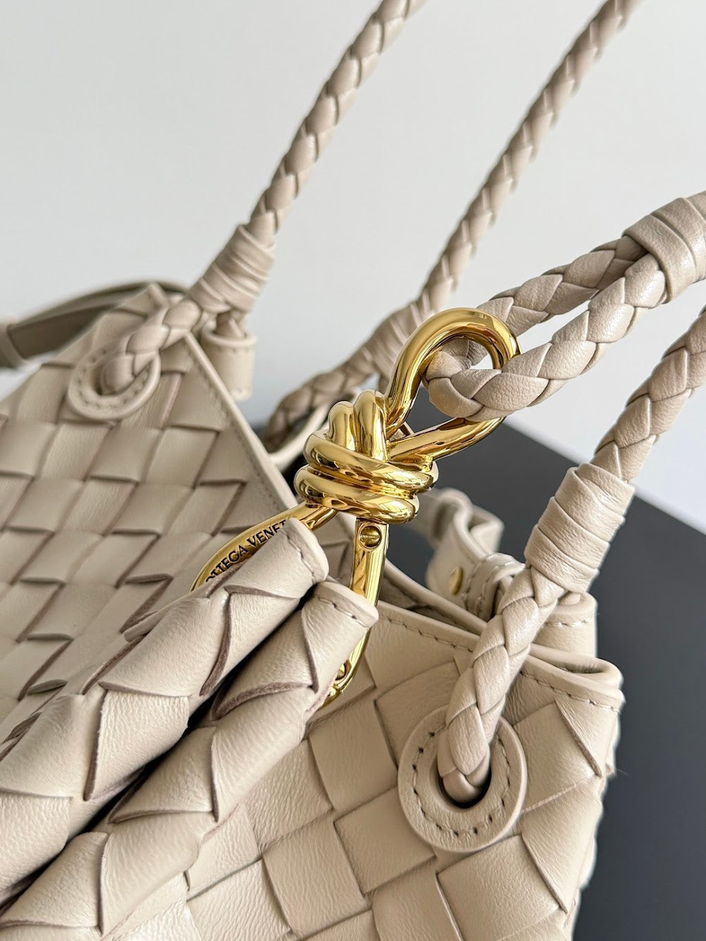 Dragons Bags Bottegan Luxury Bag --91106