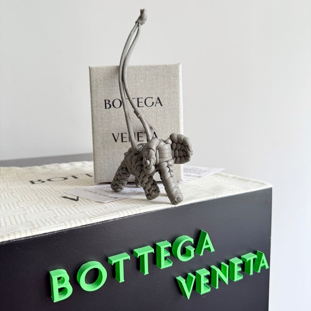 Dragons Bags Bottegan Luxury Bag --91434
