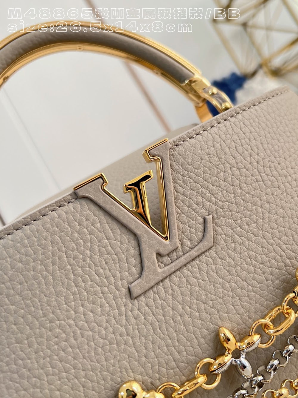 Dragons Bags ln Luxury Bag --95849