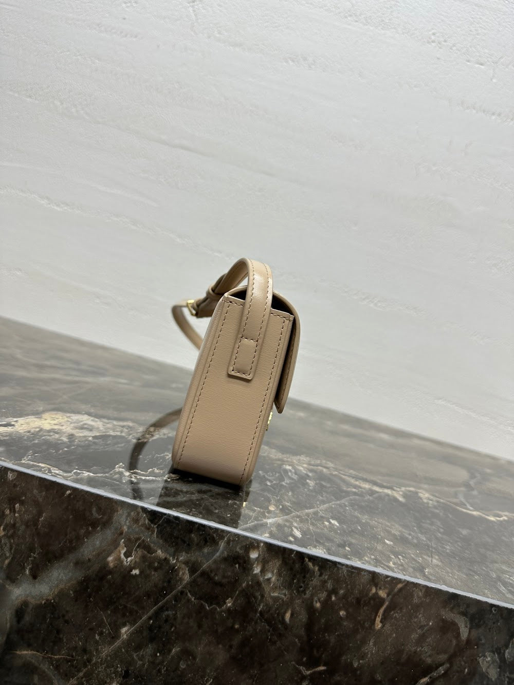 Dragons Bags Celine Luxury Bag --112421