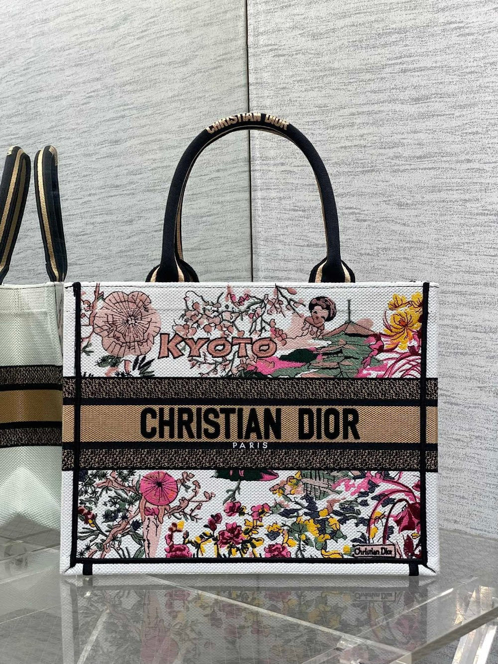 new-designer-premium-bags-nm16659