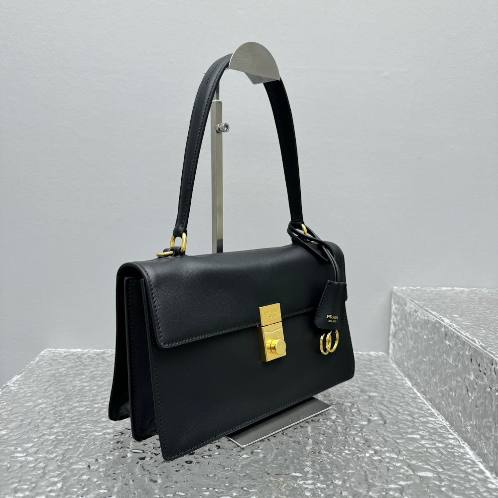 Dragons Bags Pradn Luxury Bag --101805