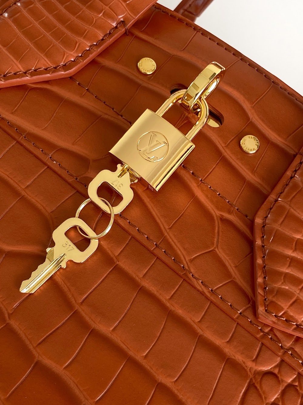 Dragons Bags ln Luxury Bag --96196