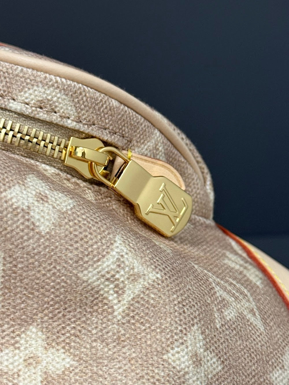 Dragons Bags ln Luxury Bag --96841