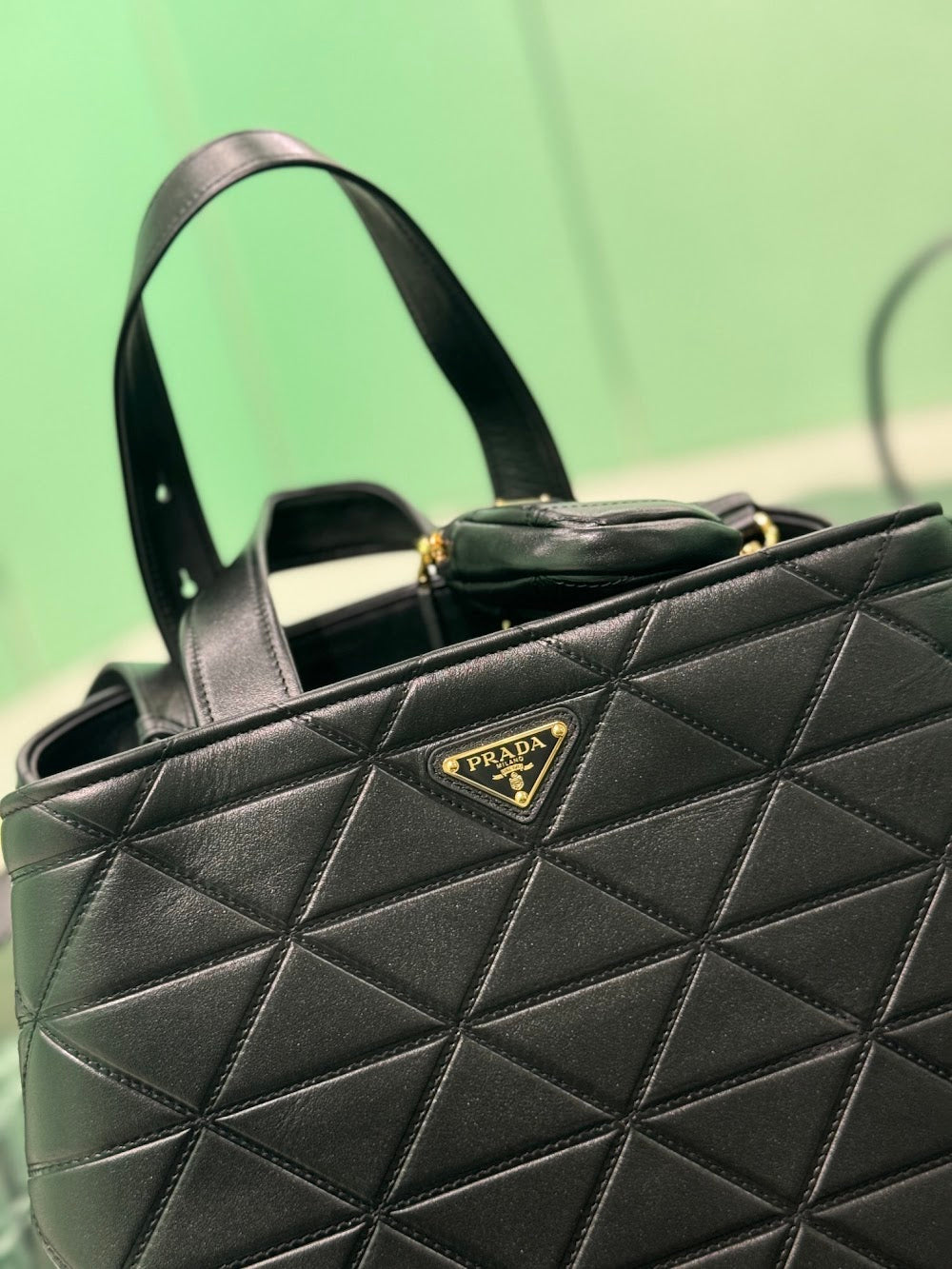 Dragons Bags Pradn Luxury Bag --102961