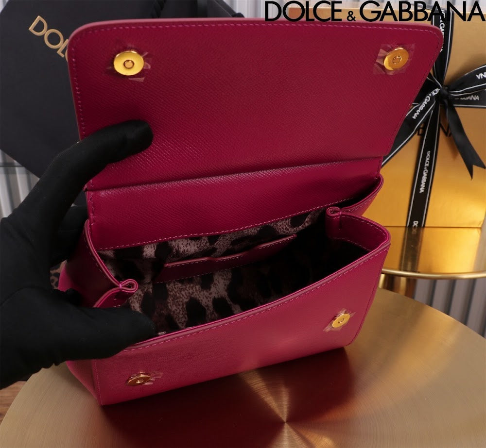 Dragons Bags DGn Luxury Bag --93612