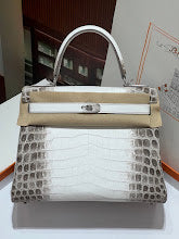 new-luxury-designer-bags-nm9231
